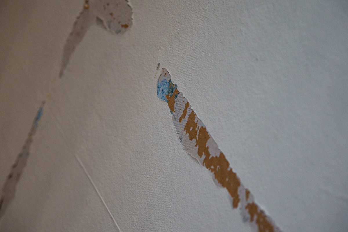 Mold Remediation service in Council Bluffs, IA